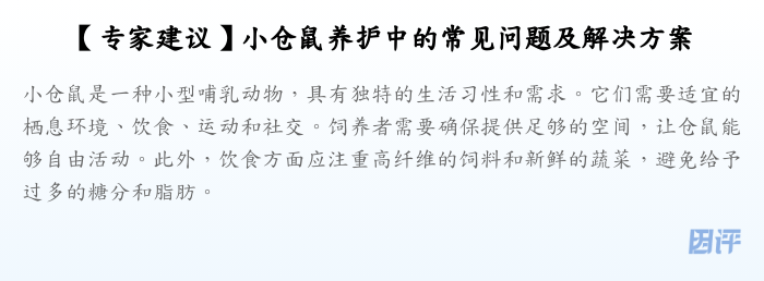 【专家建议】小仓鼠养护中的常见问题及解决方案