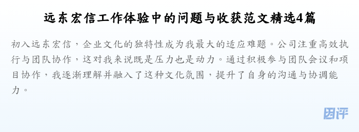 远东宏信工作体验中的问题与收获范文精选4篇