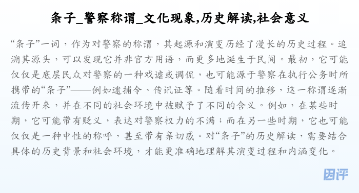 条子_警察称谓_文化现象,历史解读,社会意义