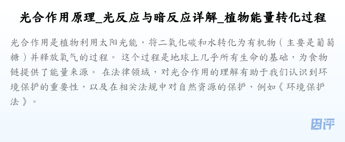 光合作用原理_光反应与暗反应详解_植物能量转化过程