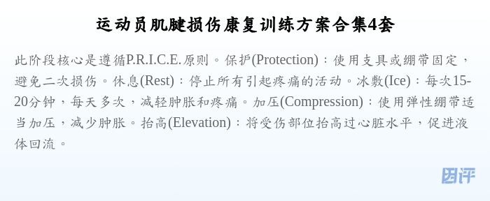 运动员肌腱损伤康复训练方案合集4套
