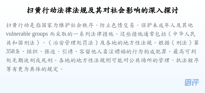 扫黄行动法律法规及其对社会影响的深入探讨