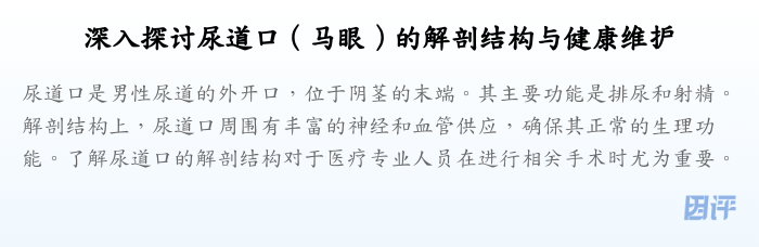 深入探讨尿道口(马眼)的解剖结构与健康维护