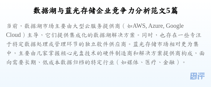 数据湖与蓝光存储企业竞争力分析范文5篇