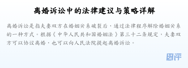 离婚诉讼中的法律建议与策略详解