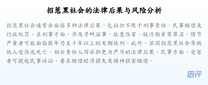 招惹黑社会的法律后果与风险分析