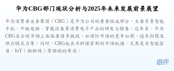 华为CBG部门现状分析与2025年未来发展前景展望