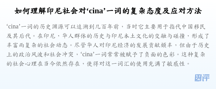 如何理解印尼社会对‘cina’一词的复杂态度及应对方法