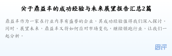 关于鼎益丰的成功经验与未来展望报告汇总2篇