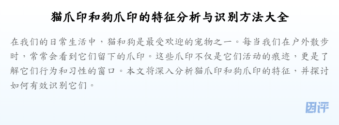 猫爪印和狗爪印的特征分析与识别方法大全