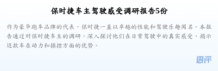 保时捷车主驾驶感受调研报告5份