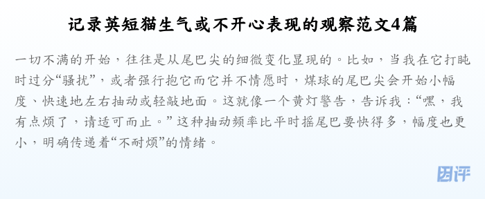 记录英短猫生气或不开心表现的观察范文4篇