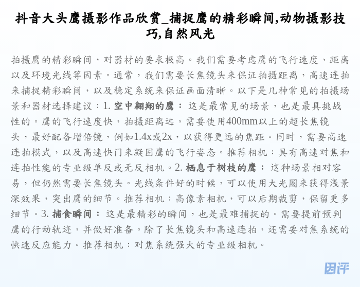 抖音大头鹰摄影作品欣赏_捕捉鹰的精彩瞬间,动物摄影技巧,自然风光
