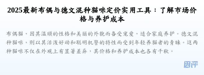 2025最新布偶与德文混种猫咪定价实用工具:了解市场价格与养护成本