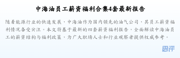 中海油员工薪资福利合集4套最新报告