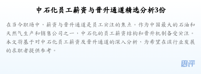 中石化员工薪资与晋升通道精选分析3份