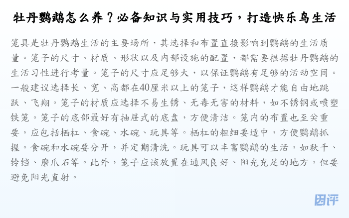 牡丹鹦鹉怎么养?必备知识与实用技巧,打造快乐鸟生活