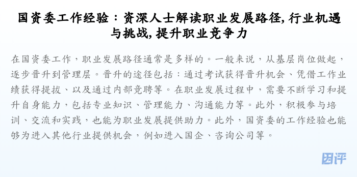 国资委工作经验:资深人士解读职业发展路径, 行业机遇与挑战, 提升职业竞争力