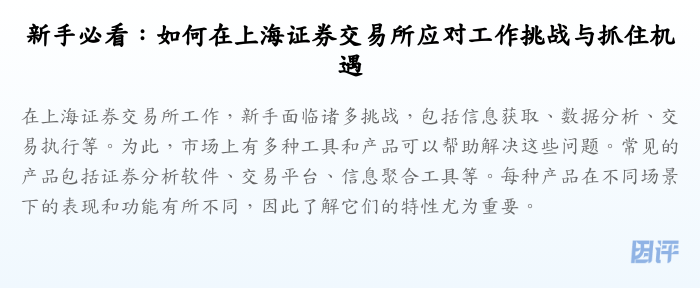 新手必看:如何在上海证券交易所应对工作挑战与抓住机遇
