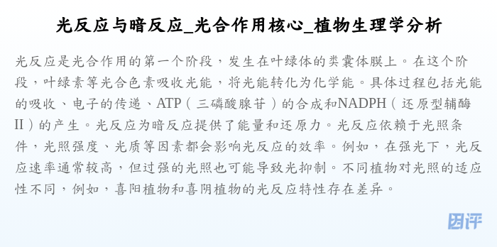 光反应与暗反应_光合作用核心_植物生理学分析