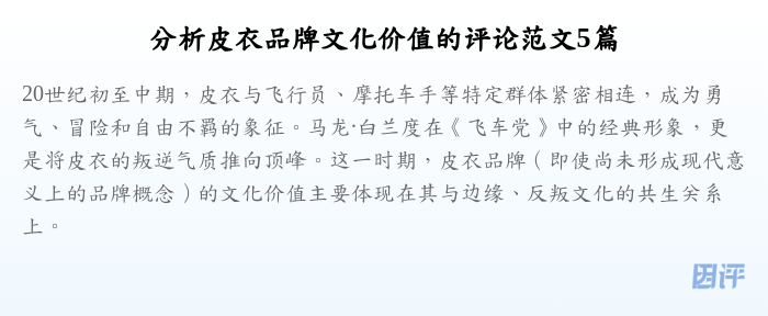 分析皮衣品牌文化价值的评论范文5篇