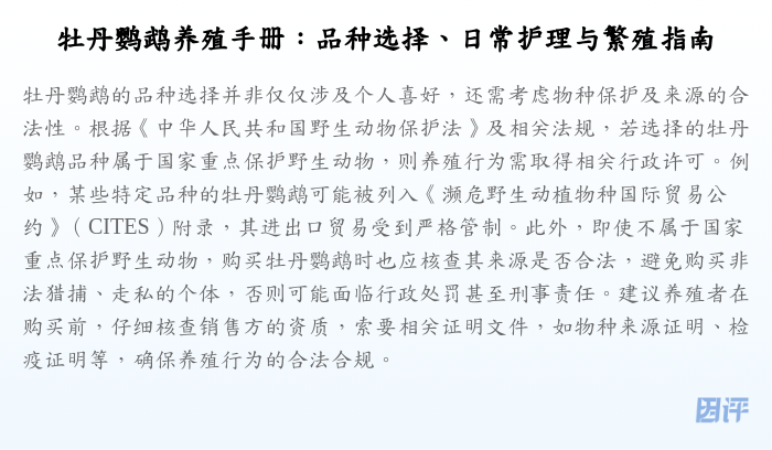 牡丹鹦鹉养殖手册:品种选择、日常护理与繁殖指南