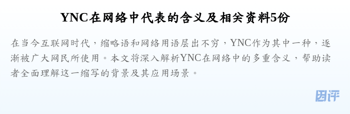 YNC在网络中代表的含义及相关资料5份