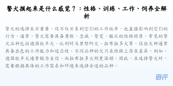 警犬摸起来是什么感觉?:性格、训练、工作、饲养全解析