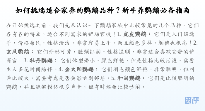 如何挑选适合家养的鹦鹉品种?新手养鹦鹉必备指南