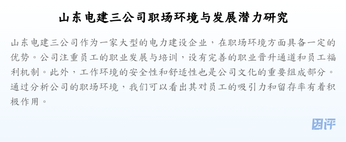 山东电建三公司职场环境与发展潜力研究