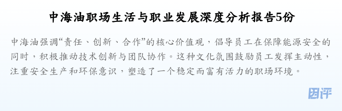 中海油职场生活与职业发展深度分析报告5份
