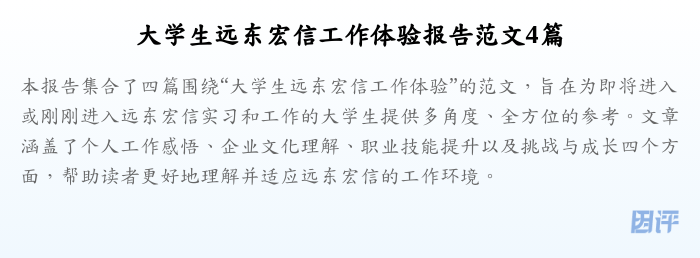 大学生远东宏信工作体验报告范文4篇