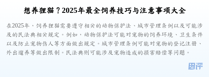 想养狸猫?2025年最全饲养技巧与注意事项大全