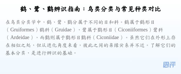鹤、鹭、鹳辨识指南:鸟类分类与常见种类对比