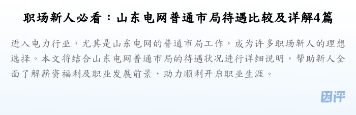 职场新人必看:山东电网普通市局待遇比较及详解4篇