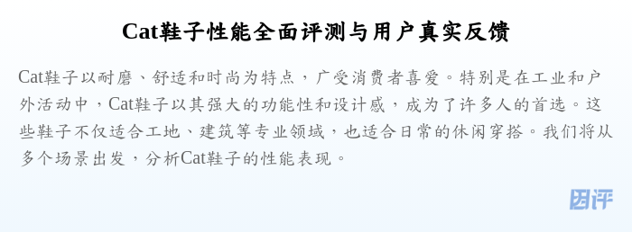 Cat鞋子性能全面评测与用户真实反馈