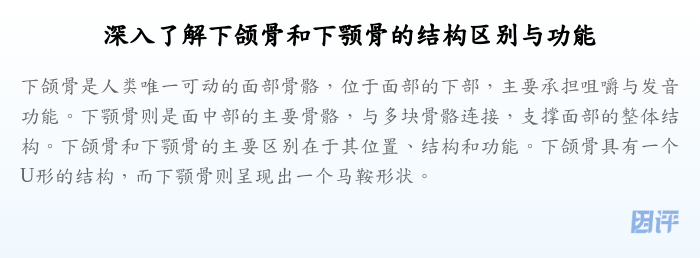 深入了解下颌骨和下颚骨的结构区别与功能