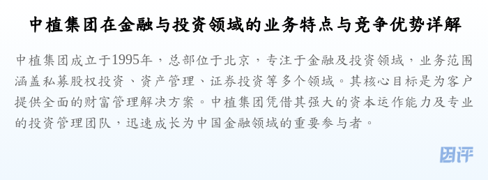 中植集团在金融与投资领域的业务特点与竞争优势详解