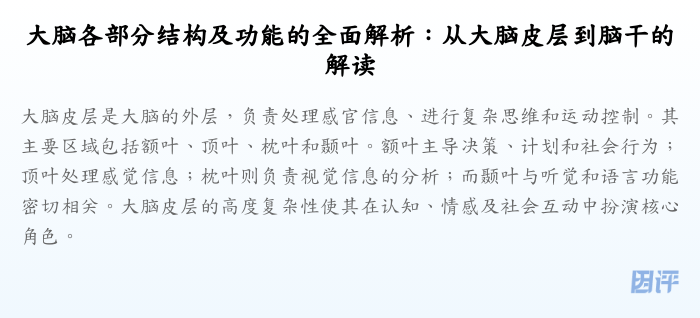 大脑各部分结构及功能的全面解析:从大脑皮层到脑干的解读