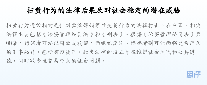 扫黄行为的法律后果及对社会稳定的潜在威胁