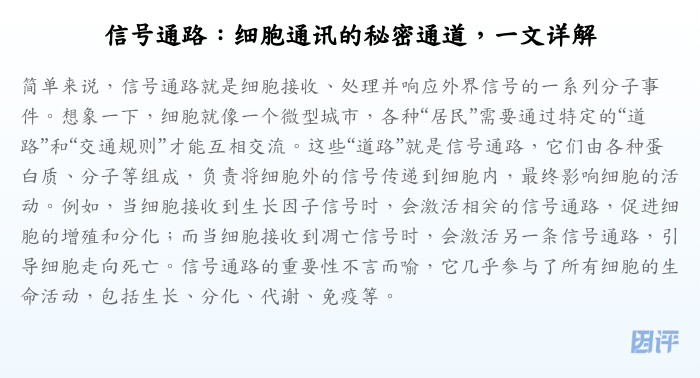 信号通路:细胞通讯的秘密通道,一文详解