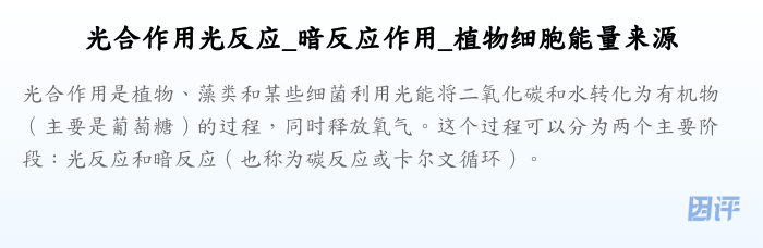 光合作用光反应_暗反应作用_植物细胞能量来源