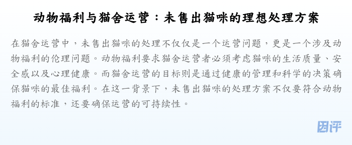 动物福利与猫舍运营:未售出猫咪的理想处理方案