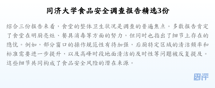 同济大学食品安全调查报告精选3份