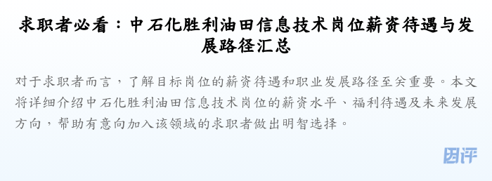 求职者必看:中石化胜利油田信息技术岗位薪资待遇与发展路径汇总