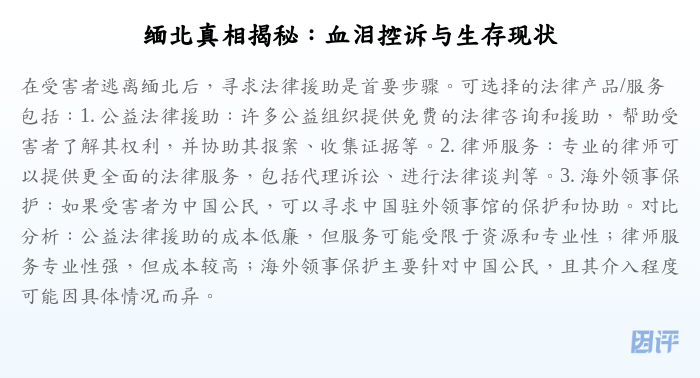 缅北真相揭秘:血泪控诉与生存现状