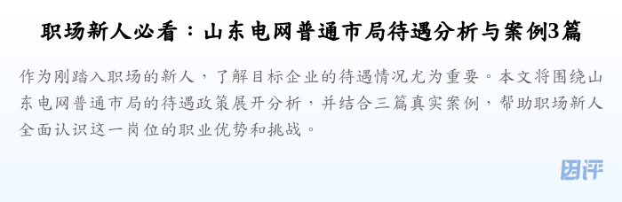 职场新人必看:山东电网普通市局待遇分析与案例3篇
