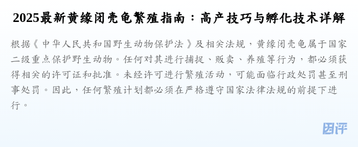 2025最新黄缘闭壳龟繁殖指南:高产技巧与孵化技术详解