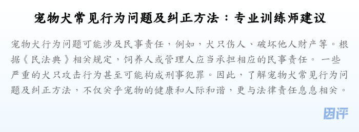 宠物犬常见行为问题及纠正方法:专业训练师建议