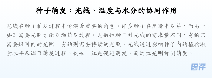 种子萌发:光线、温度与水分的协同作用